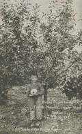 Spokane Washington, Fourth National Apple Show, Boy With Apple And Trees, C1910s Postcard - Spokane