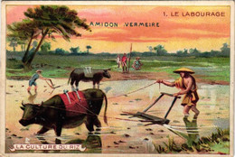 11  Cards   AMIDON  De Riz Vermeire Hamme - Sur- Durme Marque Négresse Ch.Vermeire - Vangeeteruyen LITHO - Collections, Lots & Séries