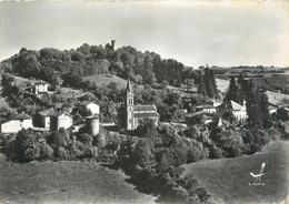 CPSM FRANCE 38 "Bressieux, Vue Panoramique" - Bressieux