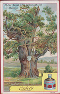 Bouillon Cibils Arbre Chene Royal Pres Schattenhofen Van Geetruyen & Cie Anvers Reclame Publicite Chromo Publicitaire - Artis Historia