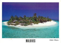 CPSM Maldives-Ellaidhoo-Beau Timbre    L616 - Maldivas