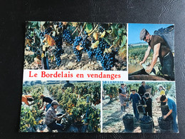 Le Bordelais En Vendanges - Multi Vues - Paysans