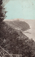 Clovelly - View From The Hobby Drive 1905 - Clovelly