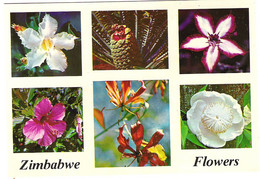 ZIMBABWE FLOWERS. UNUSED POSTCARD Sa1 - Zimbabwe