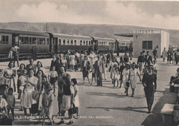 Manfredonia - La Nuova Borgata Di Siponto - L'arrivo Dei Bagnanti - Treno - Foggia