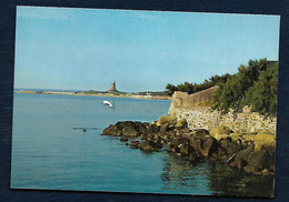 Saint Vaast La Hougue (Manche-50) - Marée Haute Sur La Presqu'ile De La Hougue - Saint Vaast La Hougue