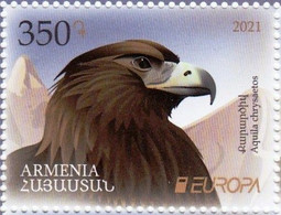 Armenia 2021 Europa Endangered National Wildlife Bird Golden Eagle 1v MNH - Adler & Greifvögel