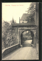 AK Rochlitz, Eingang Zum Schloss - Rochlitz
