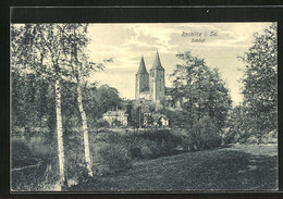 AK Rochlitz, Zwei Birken Und Das Schloss Rochlitz - Rochlitz