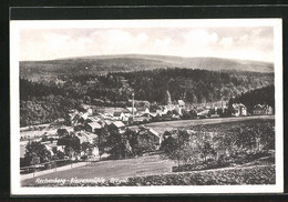 AK Rechenberg-Bienenmühle, Ortsansicht Im Sonnenschein - Rechenberg-Bienenmühle