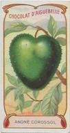 Chromo Aiguebelle Les Fruits 10,5 X 5.5 - Anone Corossol - Aiguebelle