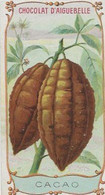 Chromo Aiguebelle Les Fruits 10,5 X 5.5 - Cacao - Aiguebelle