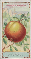 Chromo Aiguebelle Les Fruits 10,5 X 5.5 - Grenade - Aiguebelle