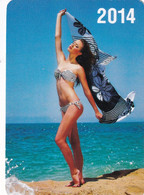 A6108- Woman, Sexy Woman Beach Photo Calendar, 2014 Ucraine, Small Calendar - Small : 2001-...