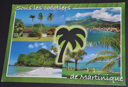 Sous Les Cocotiers De Martinique - La Trinite