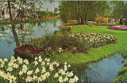 KEUKENHOF GARDENS, LISSE, HOLLAND. UNUSED POSTCARD Tc7 - Lisse