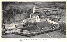 Abbaye Des Prémontrés, à TONGERLOO - Westerlo