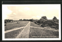 AK Ostseebad Prerow, Promenade Auf Dem Deich - Seebad Prerow