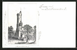 AK Bad Freienwalde A.O., Bismarckturm - Bad Freienwalde