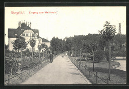 AK Burgstädt, Strasse Am Wettinhain - Burgstädt