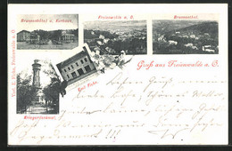 AK Freienwalde A. O., Brunnenhôtel Und Kurhaus, Emil Fiehn Geschäftshaus, Kriegerdenkmal - Bad Freienwalde