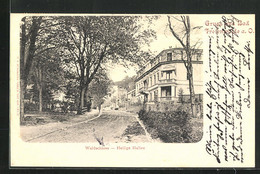 AK Bad Freienwalde A. O., Gasthaus Waldschloss, Heilige Hallen - Bad Freienwalde