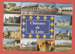 CP REGION VAL DE LOIRE 1 CHATEAUX DE LA LOIRE - Pays De La Loire