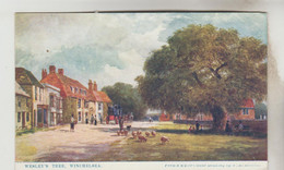 CPA RYE (Angleterre-Sussex) - WINCHELSEA : Wesley's Tree - Rye