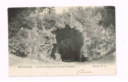 Le Pont Rustique Du Bois De La Cambre.Expédié à Schaerbeek. - Bosques, Parques, Jardines
