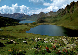 Panorama Piora - Cadagno (4539) * 4. 6. 1966 - Agno