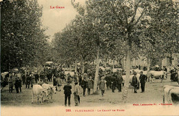 Fleurance * Le Champ De Foire * Marché Aux Bestiaux Boeufs * Marchands Place - Fleurance