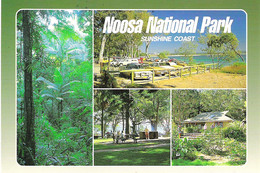 NOOSA NATIONAL PARK SUNSHINE COAST QUEENSLAND, AUSTRALIA. USED POSTCARD Box1d - Sunshine Coast