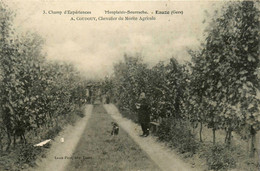 Eauze * Monplaisir Bourrache * Champ D'expériences * A. COUDOUY , Chevalier Du Mérite Agricole - Otros & Sin Clasificación