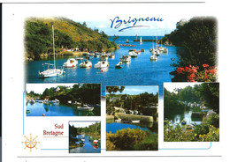 Petit Port De BRIGNEAU En MOËLAN - Carte Multivues N°10153 YCA Caoudal éd. - Moëlan-sur-Mer