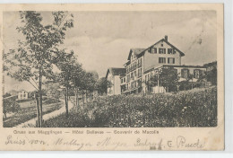 Suisse - Berne - Gruss Aus Magglingen Hotel Bellevue Souvenir De Macolin 1903 - Berne