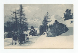 Suisse - Attelage Traineau Diligence Neige  Ed Briquet Et Fils Genève N82 , Cachet 1904 - Genève