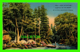 ASHEVILLE, NC - CAMPING ON THE BANKS OF A COOL MOUNTAIN STREAM - ANIMATED WITH PEOPLES - - Asheville