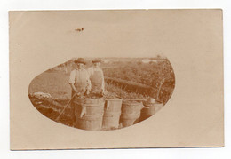 CARTE PHOTO - 2 HOMMES VENDANGEURS DEVANT LEUR RECOLTE DE RAISIN - Paysans