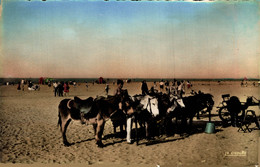 N°440 K -cpsm Ouistreham Riva Bella -les Petits ânes Sur La Plage- - Ouistreham