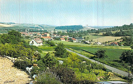 Cpm 78] Yvelines > Beynes Vue Générale Sur Les Maisons - Beynes