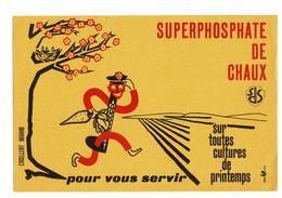 Grand Buvard SUPERPHOSPHATE DE CHAUX Cultures De Printemps 24 X 16 - Landbouw