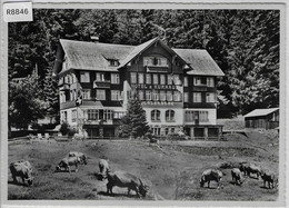 Hotel & Kurhaus Buchserberg - Kühe Vaches Cows - Buchs