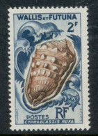 Wallis & Futuna 1962-63 Seashells 2f MUH - Nuovi