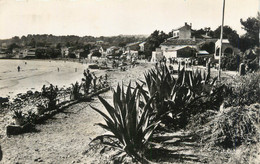 CPSM FRANCE 83 "Saint Cyr Les Lecques, La Plage" - Saint-Cyr-sur-Mer