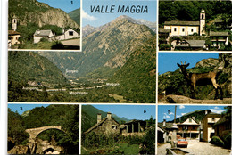 Valle Maggia - 7 Bilder (1215) * 23. 8. 1983 - Maggia