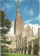 A6607 Salisbury - Cathedral - The Cloisters / Non Viaggiata - Salisbury