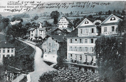 SACHSELN → Gasthaus Zum Kreuz Mit Touristen Auf Der Terrasse Anno 1911 - Sachseln