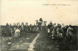 St Fort Sur Le Né * Les Vendanges En 1913 * Vendangeurs Vignoble Vin Viticulture - Sonstige & Ohne Zuordnung