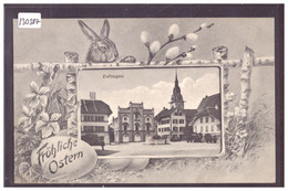 ZOFINGEN - LAPIN - FRÖHLICHE OSTERN - TB - Zofingue