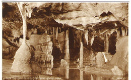 COX'S CAVE, CHEDDAR, SOMERSET, ENGLAND. UNUSED POSTCARD Jo2 - Cheddar